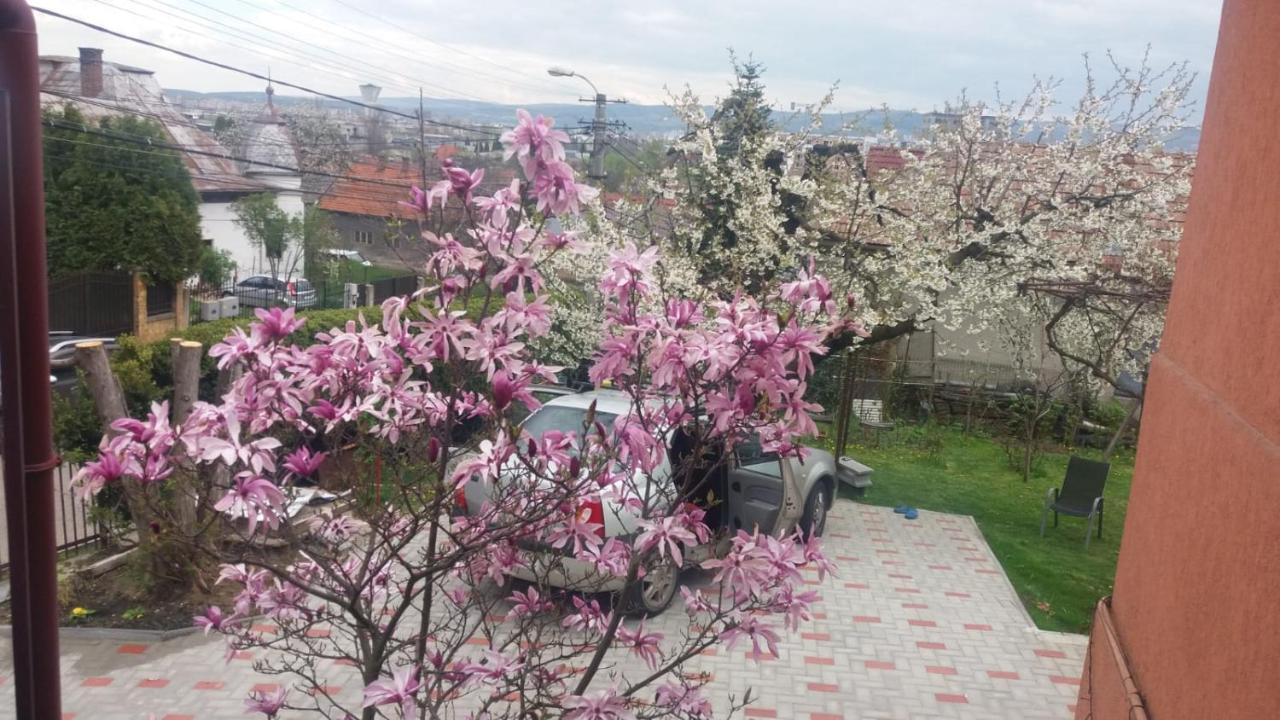 Mri Residence Kaloşvar Dış mekan fotoğraf